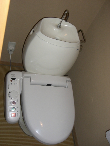 otro de los curiosos ejemplos de lavabos
